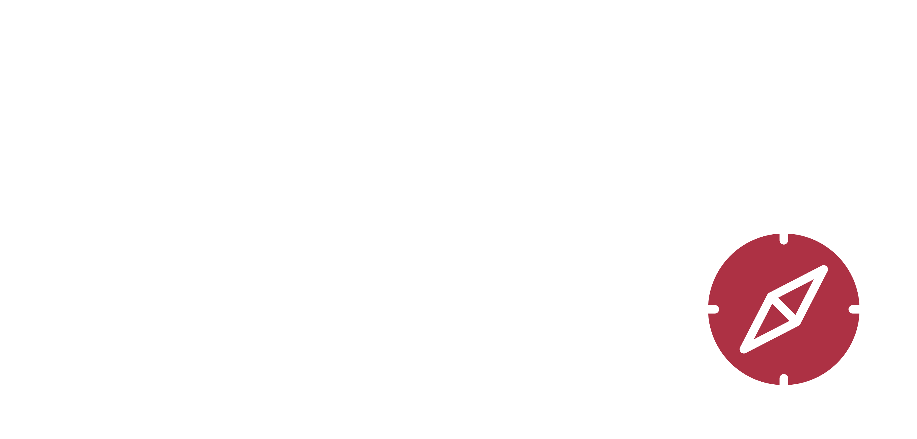 Immutable denix ai Logo